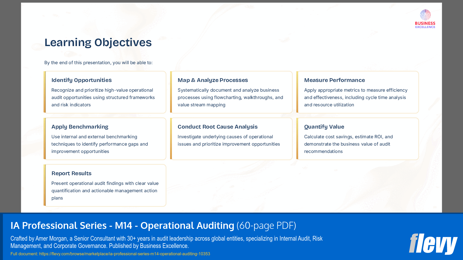 IA Professional Series - M14 - Operational Auditing (60-page PDF document) Preview Image