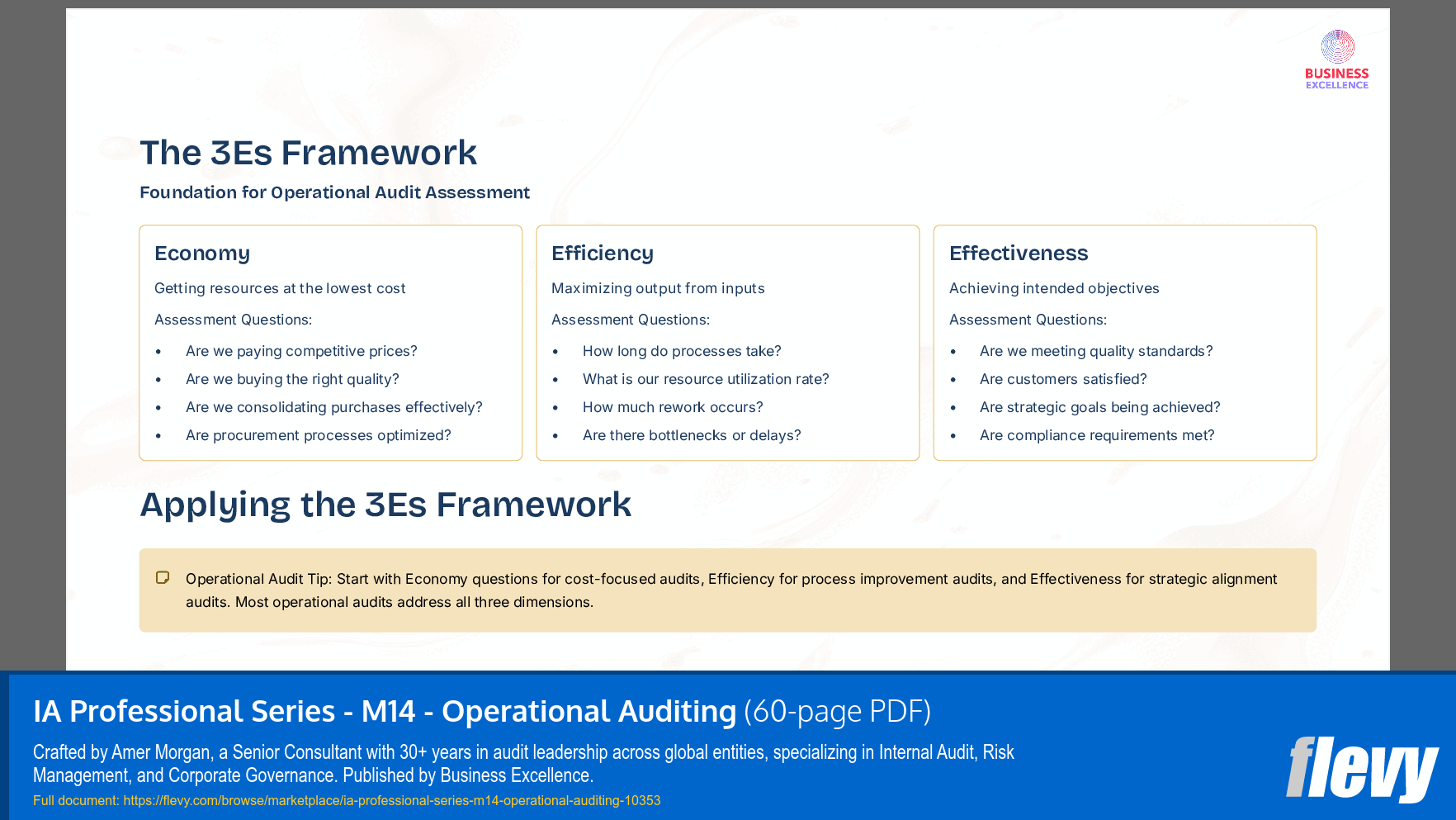 IA Professional Series - M14 - Operational Auditing (60-page PDF document) Preview Image