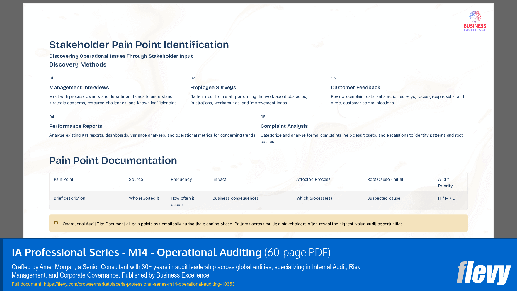 IA Professional Series - M14 - Operational Auditing (60-page PDF document) Preview Image