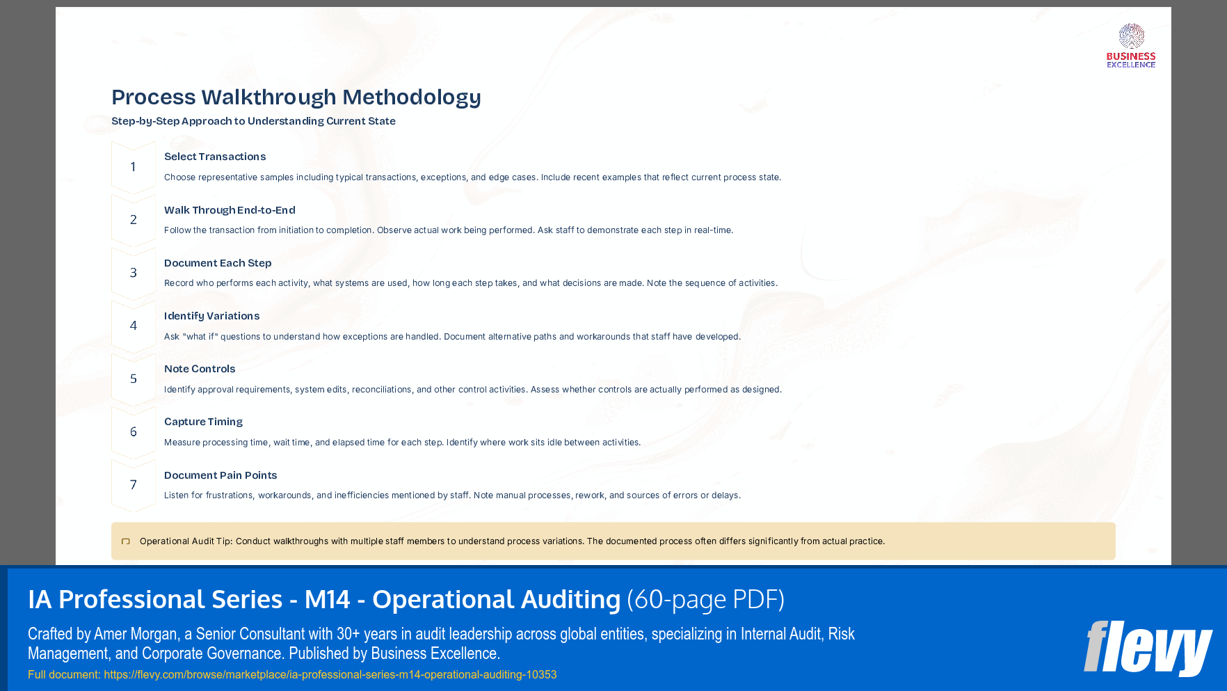 IA Professional Series - M14 - Operational Auditing (60-page PDF document) Preview Image