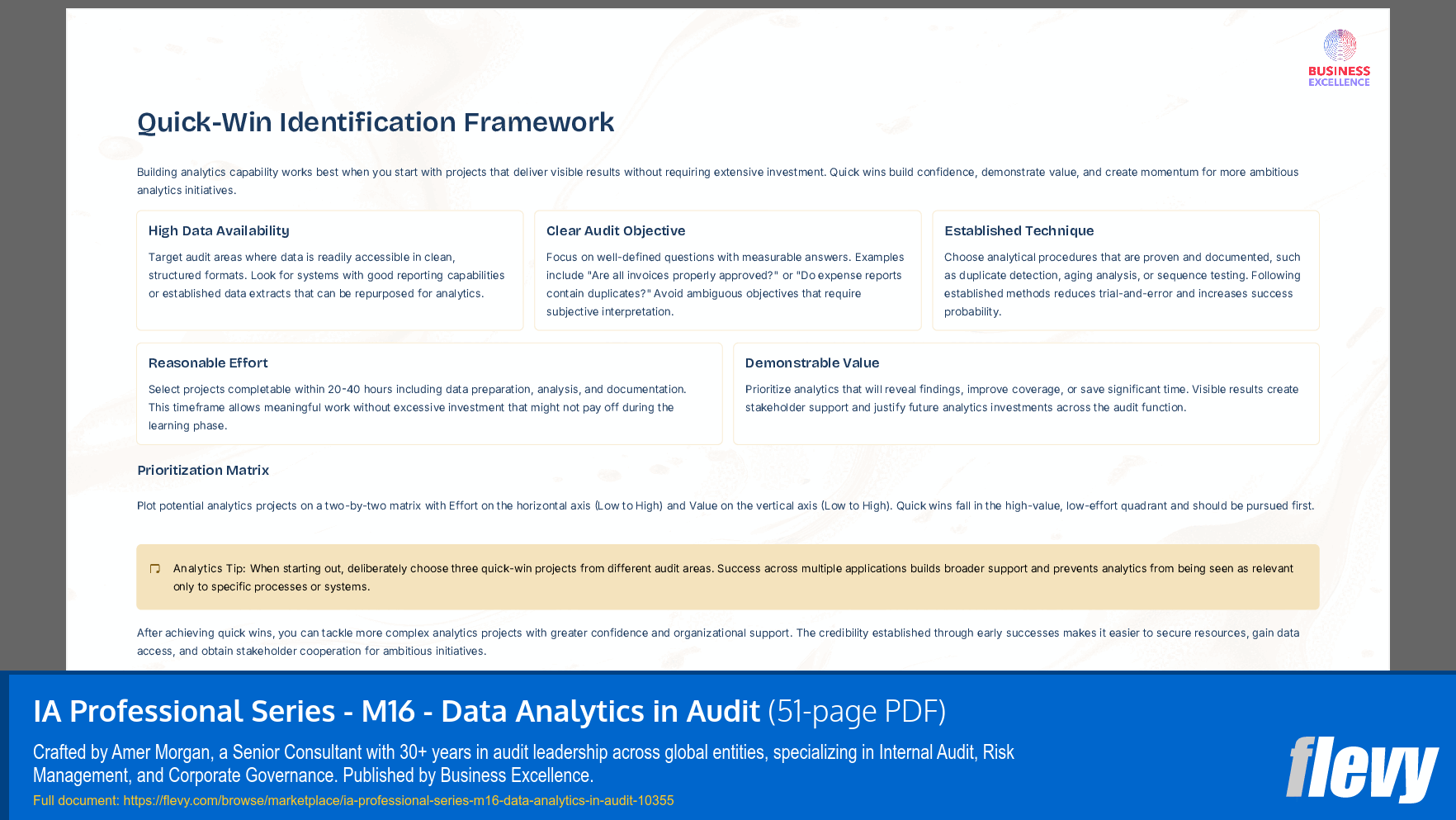 IA Professional Series - M16 - Data Analytics in Audit (51-page PDF document) Preview Image