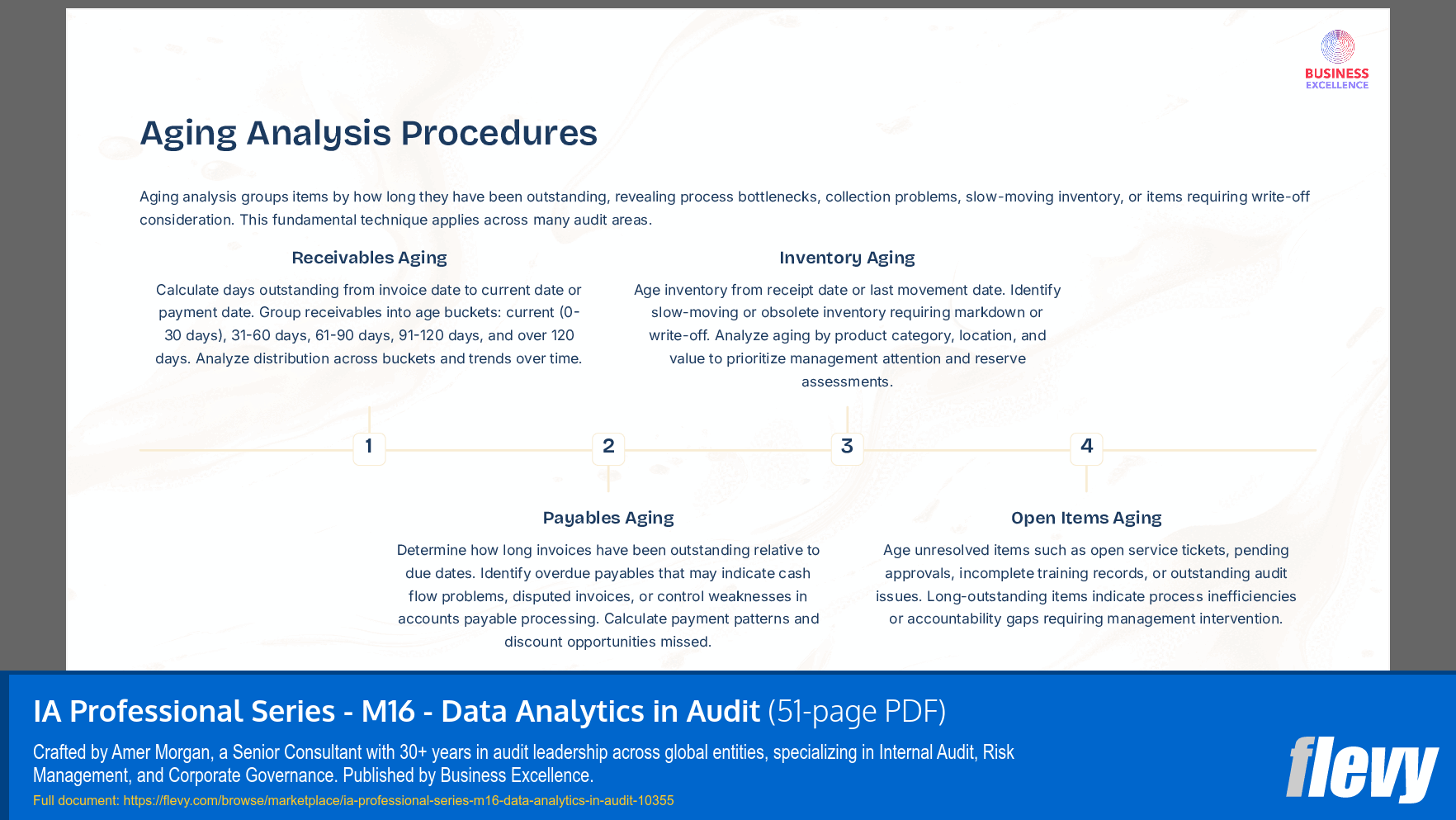 IA Professional Series - M16 - Data Analytics in Audit (51-page PDF document) Preview Image