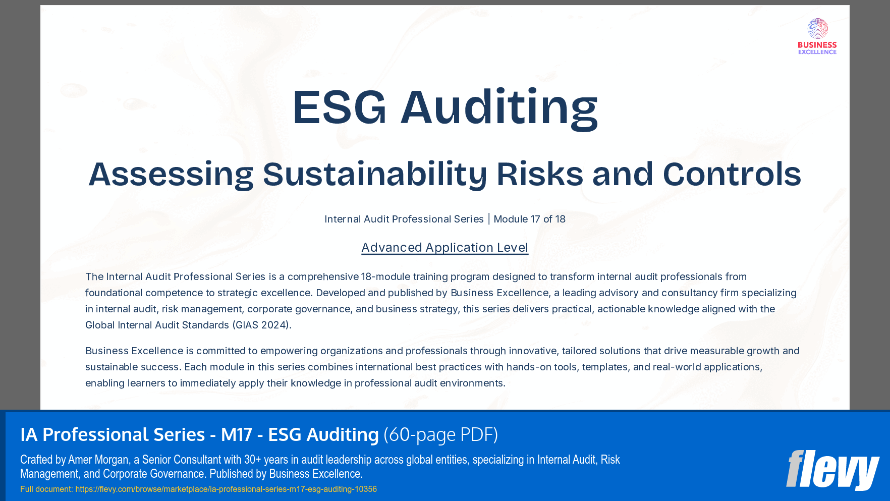 IA Professional Series - M17 - ESG Auditing (60-page PDF document) Preview Image