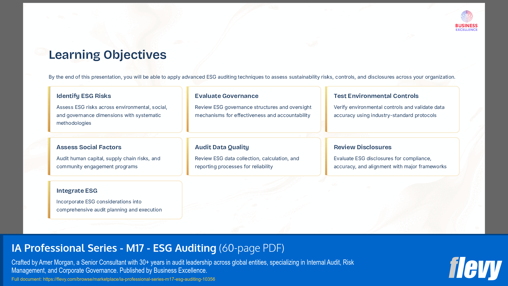 IA Professional Series - M17 - ESG Auditing (60-page PDF document) Preview Image