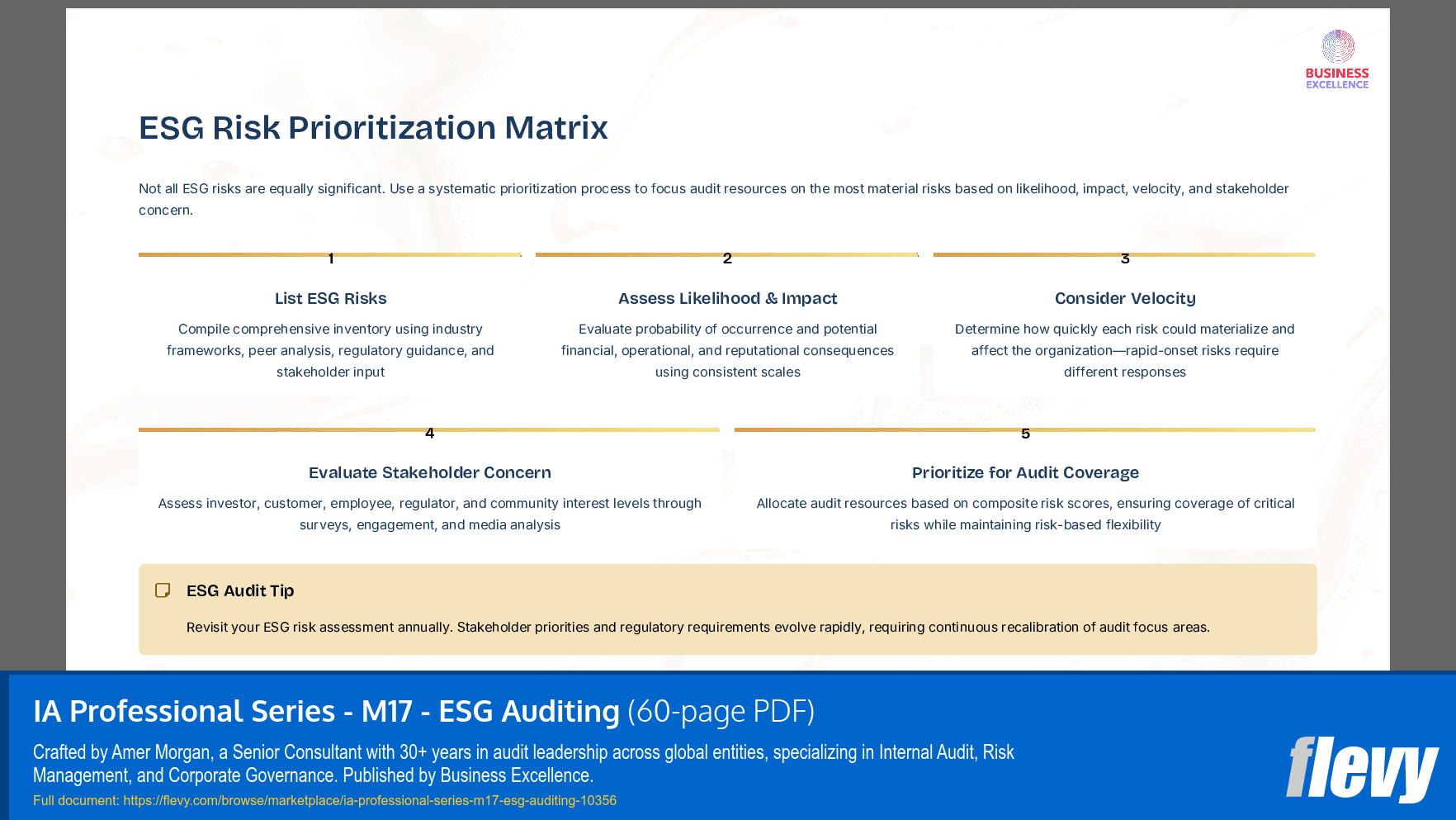 IA Professional Series - M17 - ESG Auditing (60-page PDF document) Preview Image