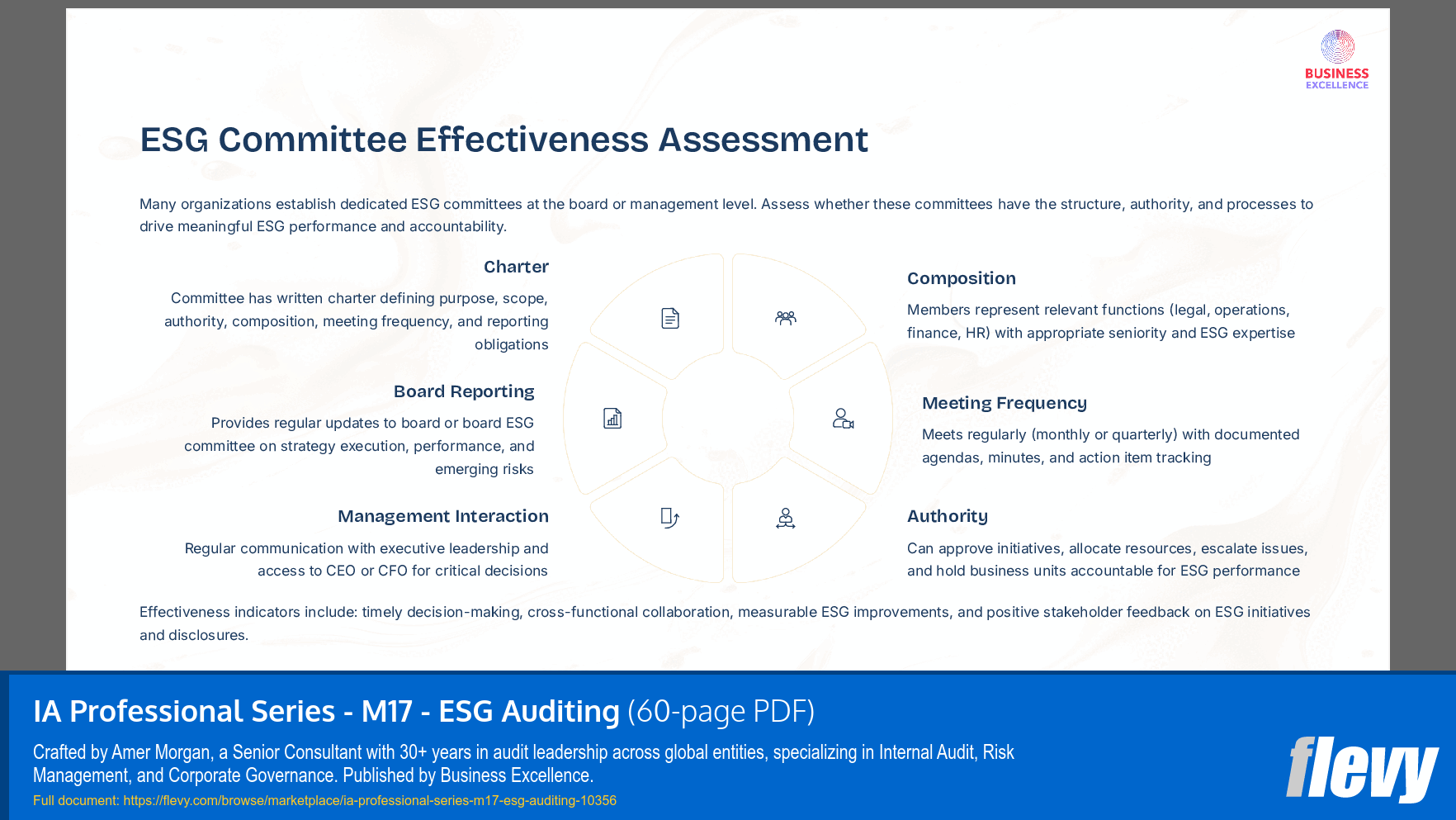 IA Professional Series - M17 - ESG Auditing (60-page PDF document) Preview Image