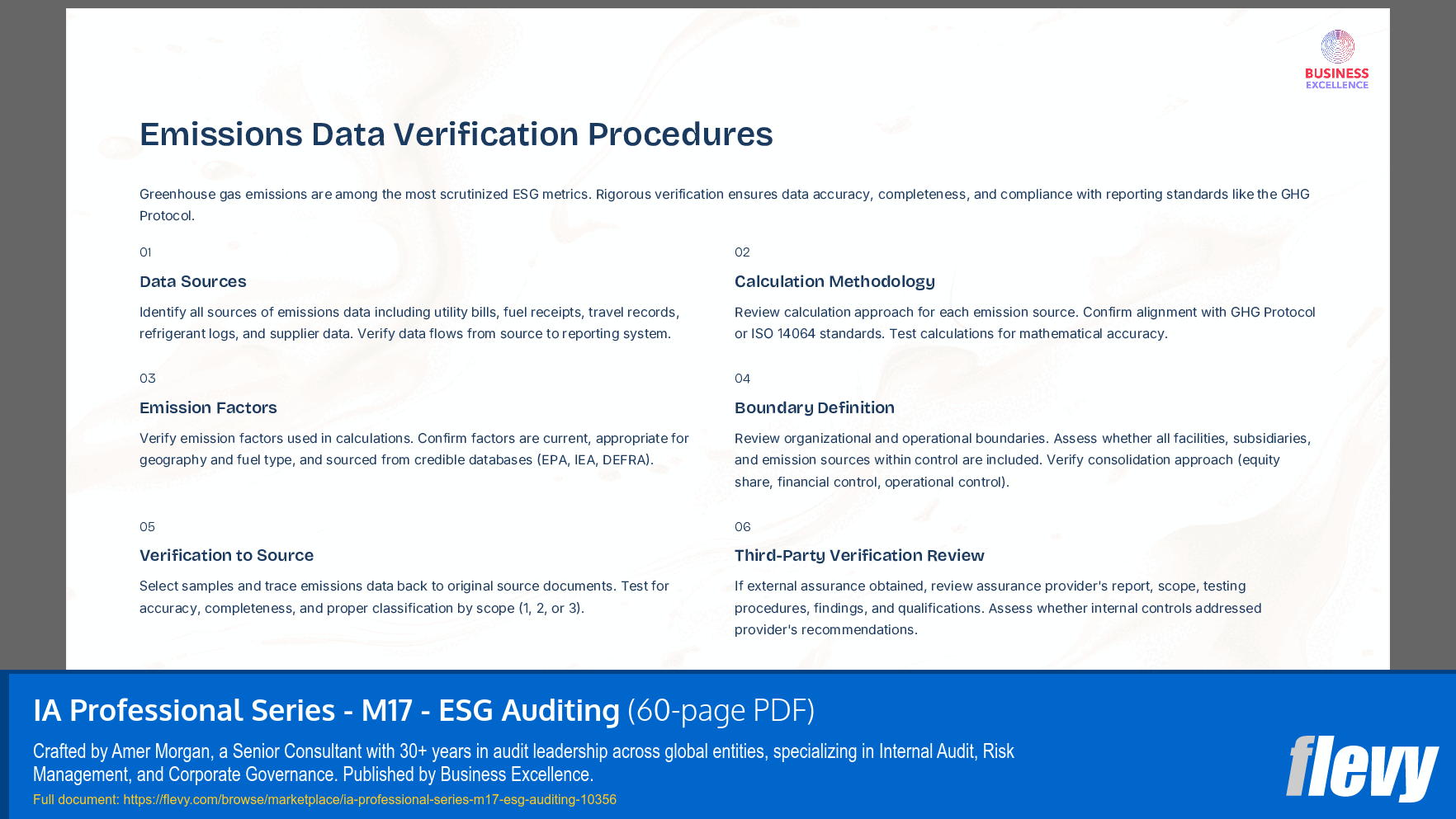 IA Professional Series - M17 - ESG Auditing (60-page PDF document) Preview Image