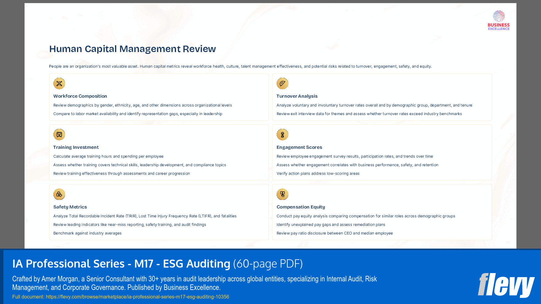 IA Professional Series - M17 - ESG Auditing (60-page PDF document) Preview Image