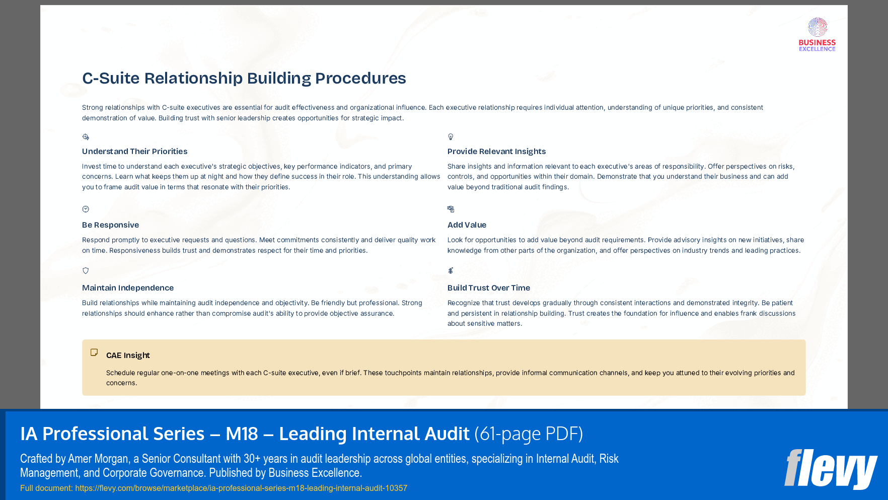 IA Professional Series - M18 - Leading Internal Audit (61-page PDF document) Preview Image