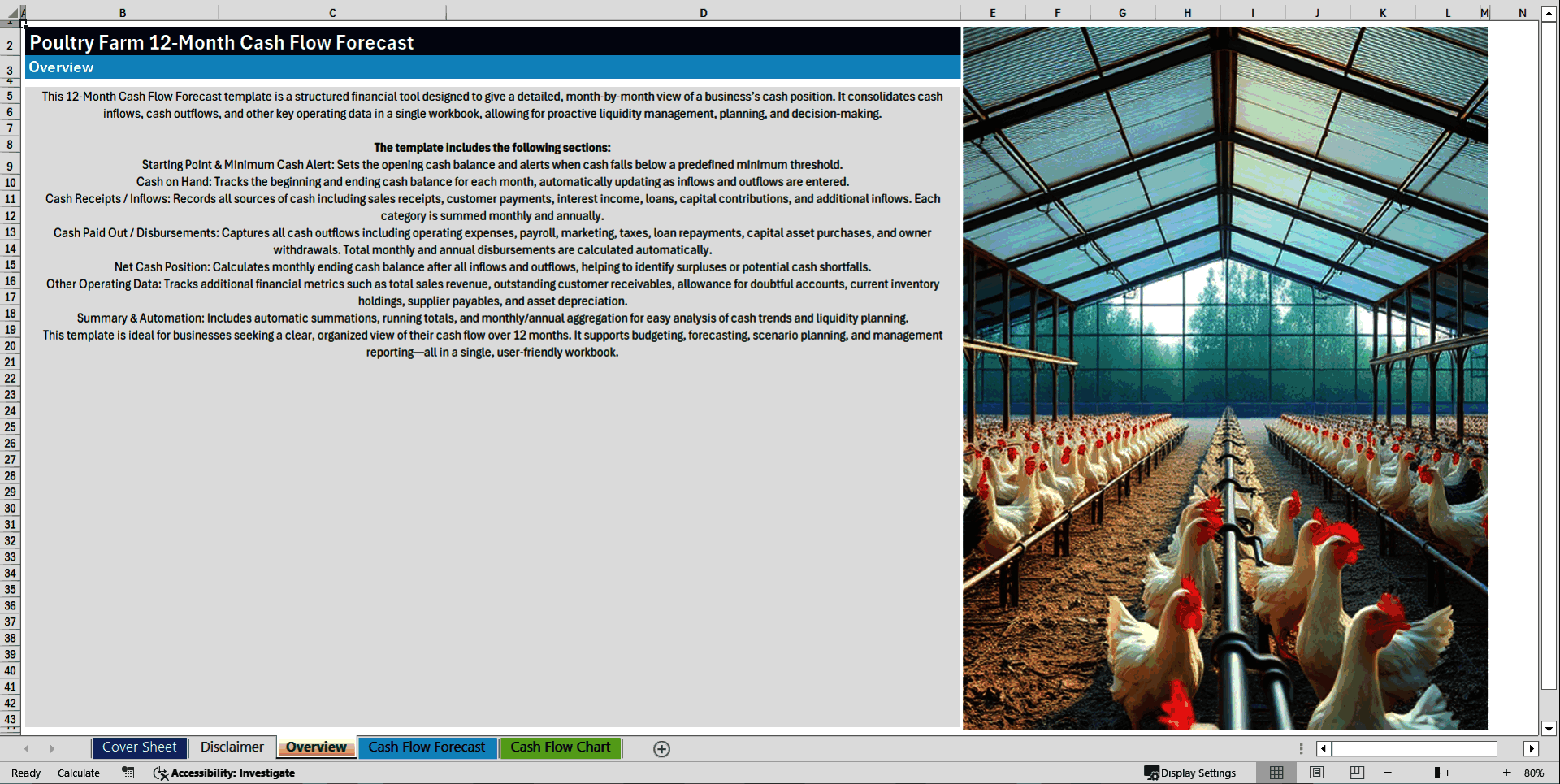 Poultry Farm 12-Month Cash Flow Forecast Template (Excel template (XLSX)) Preview Image