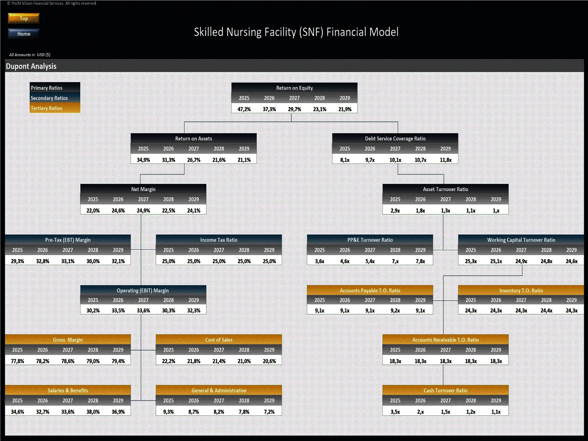Skilled Nursing Facility (SNF) – 5 Year Financial Model (Excel template (XLSX)) Preview Image