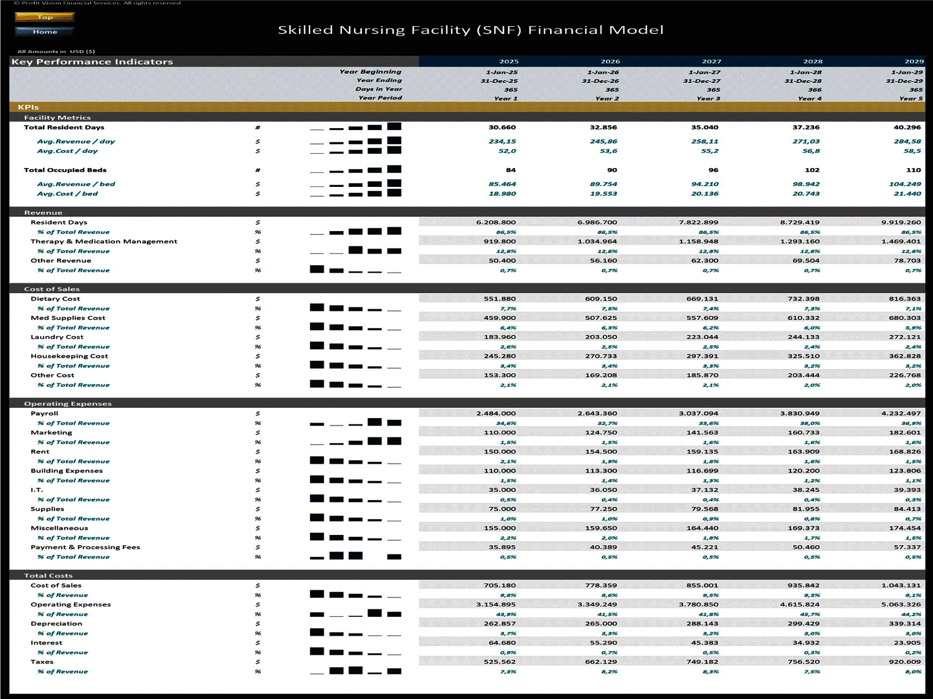 Skilled Nursing Facility (SNF) – 5 Year Financial Model (Excel template (XLSX)) Preview Image