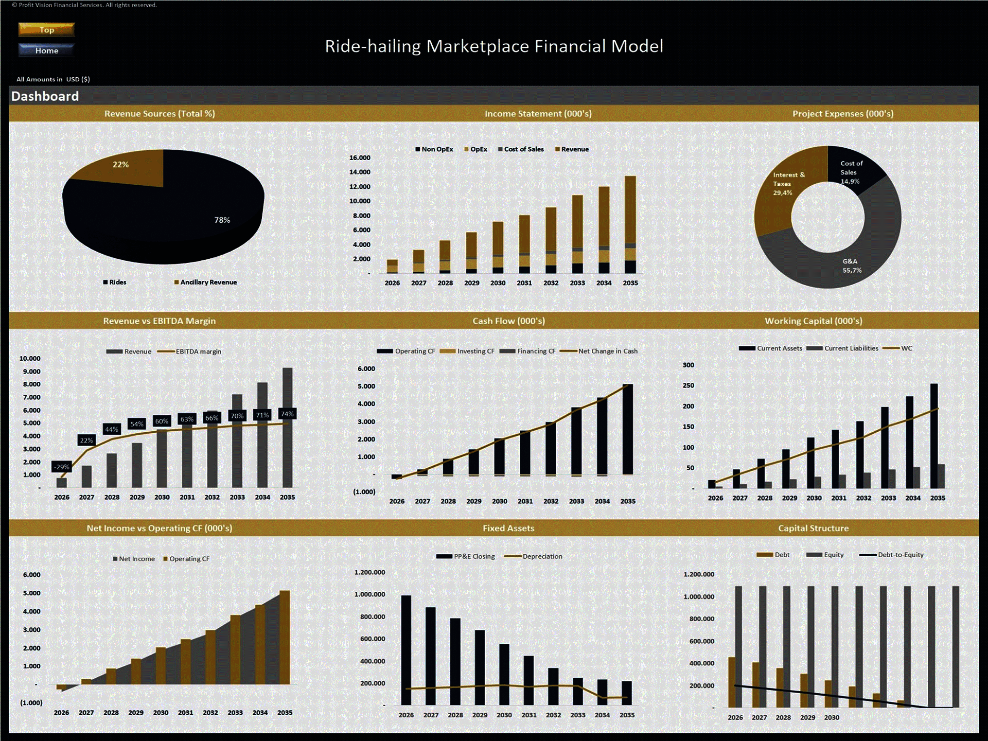 Ride-hailing Marketplace – 10 Year Financial Model (Excel template (XLSX)) Preview Image