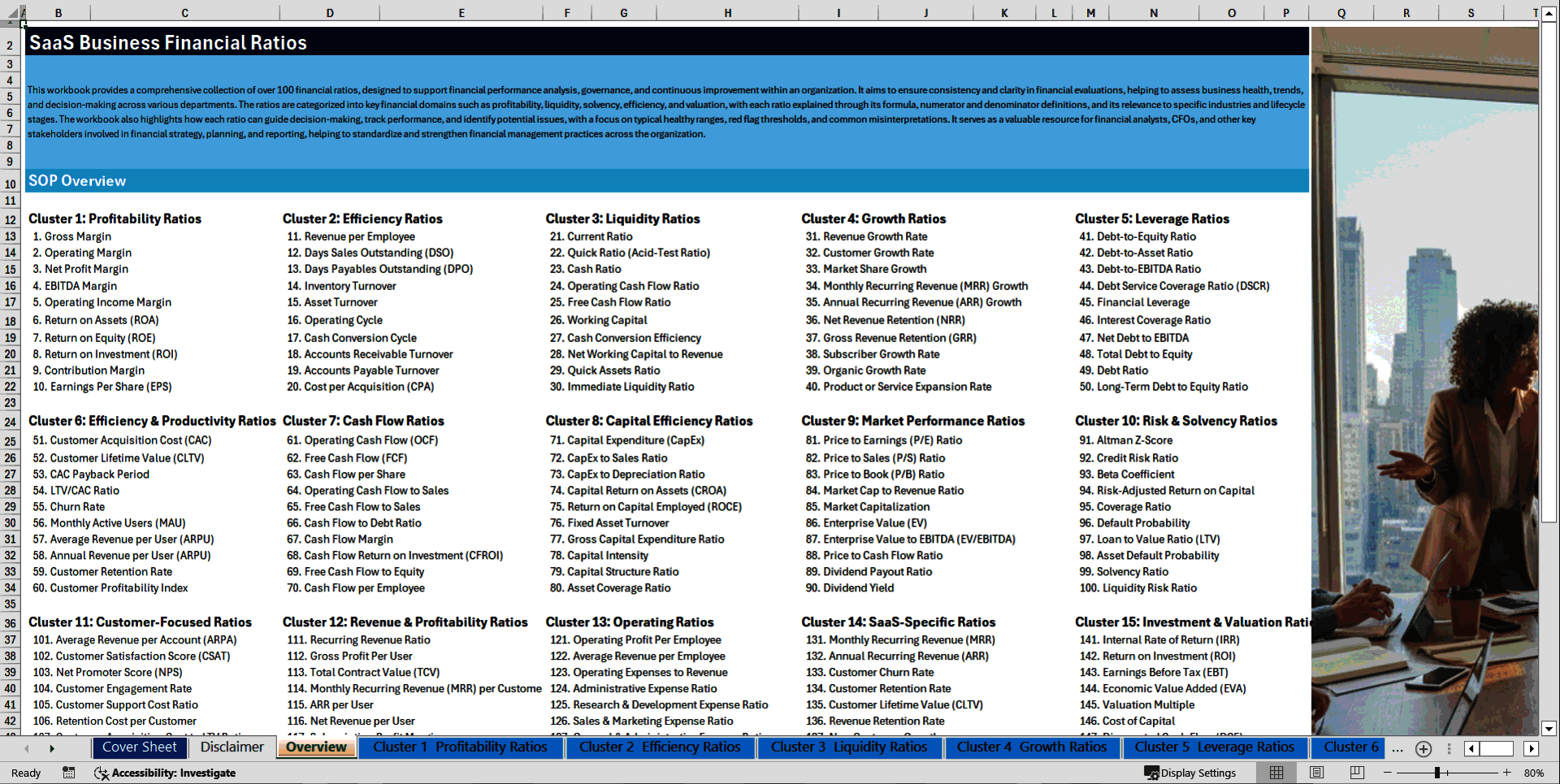 100+ SaaS Business Financial Ratios (Excel template (XLSX)) Preview Image