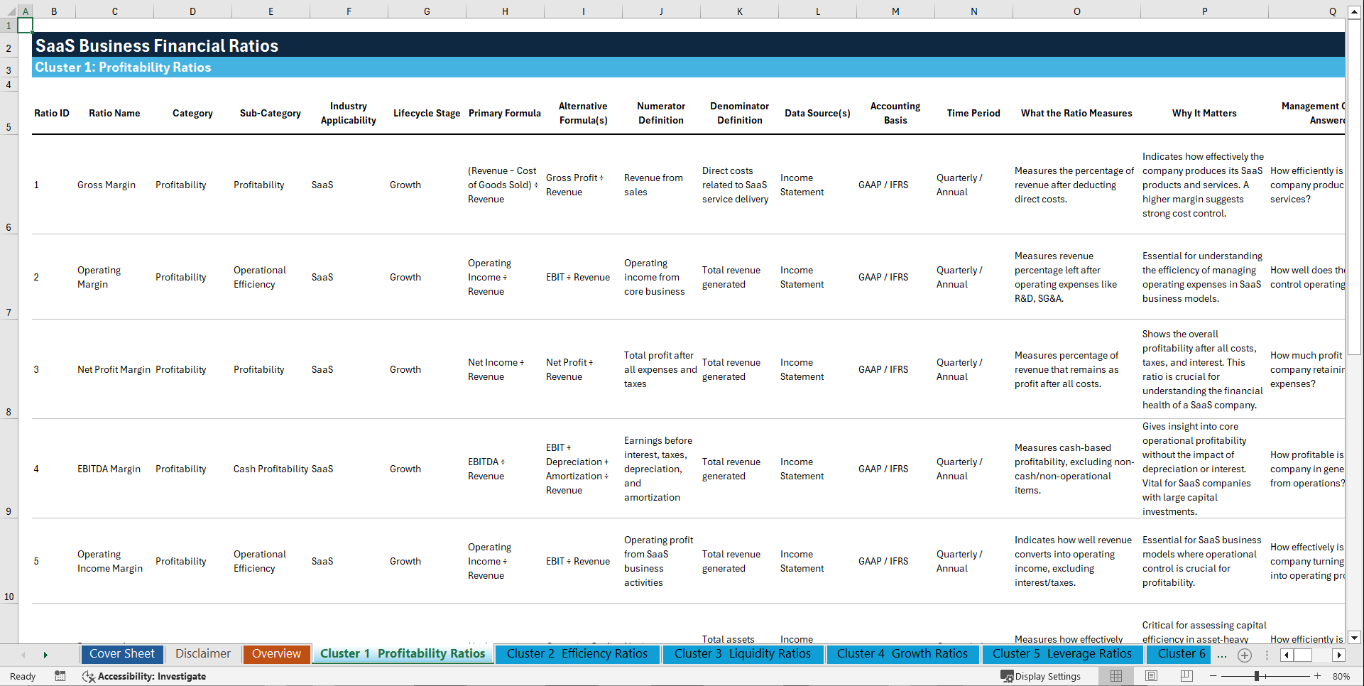 100+ SaaS Business Financial Ratios (Excel template (XLSX)) Preview Image
