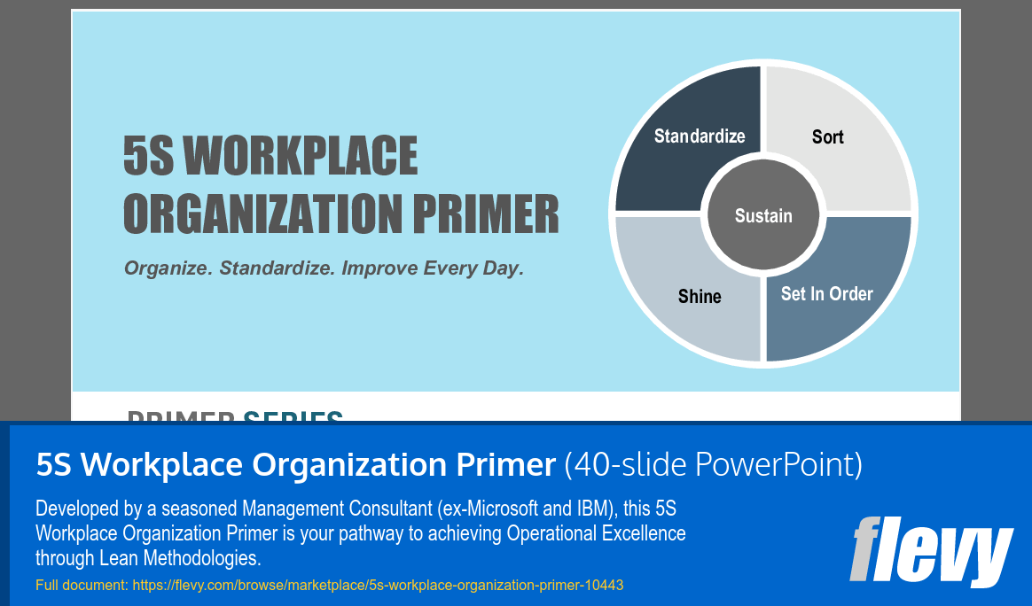 5S Workplace Organization Primer (40-slide PPT PowerPoint presentation slide deck (PPTX)) Preview Image
