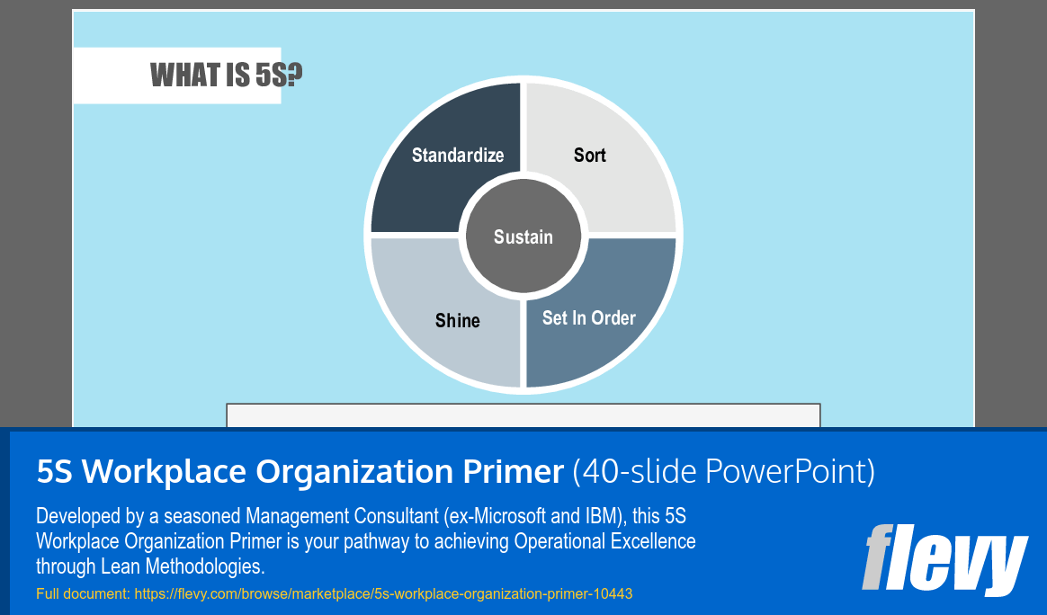 5S Workplace Organization Primer (40-slide PPT PowerPoint presentation slide deck (PPTX)) Preview Image