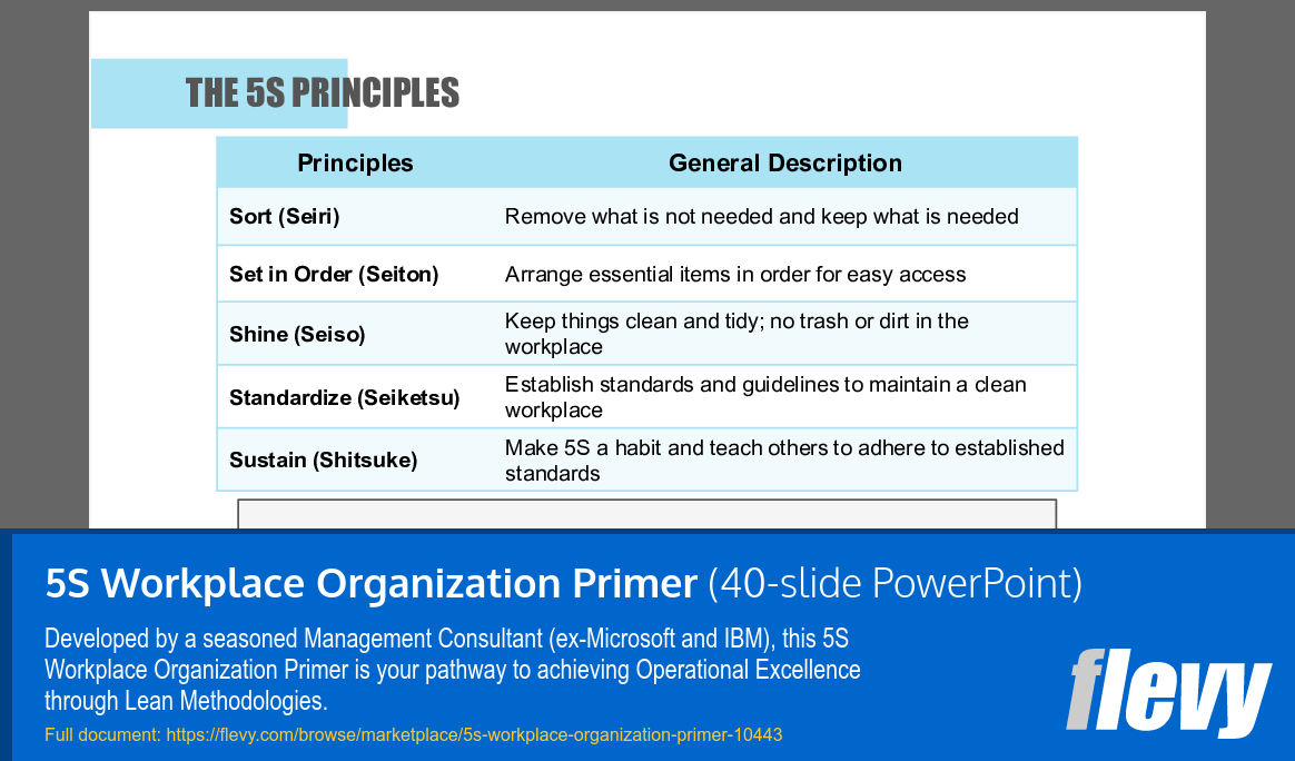 5S Workplace Organization Primer (40-slide PPT PowerPoint presentation slide deck (PPTX)) Preview Image