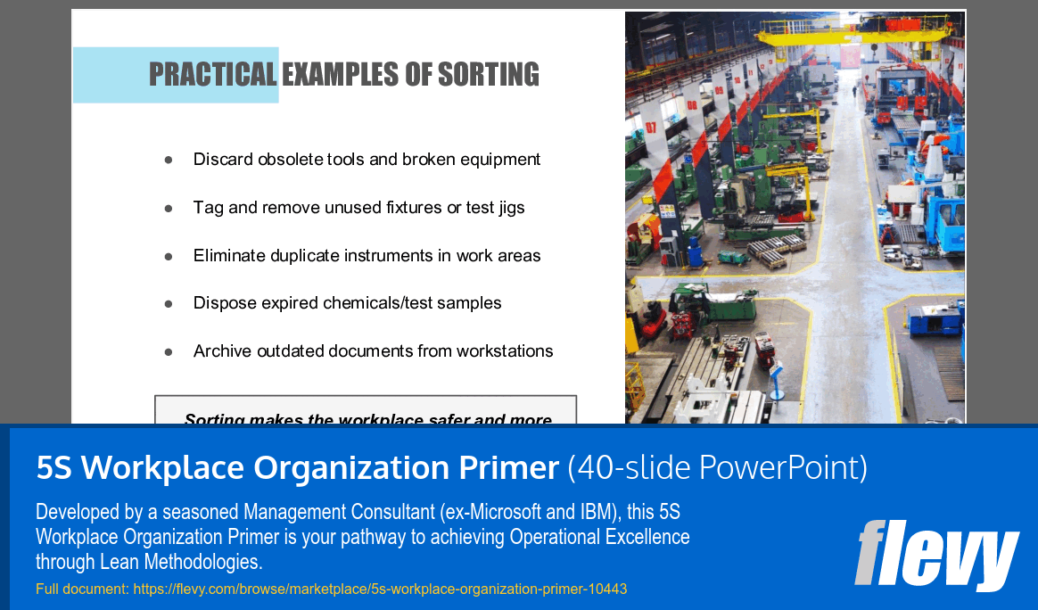 5S Workplace Organization Primer (40-slide PPT PowerPoint presentation slide deck (PPTX)) Preview Image