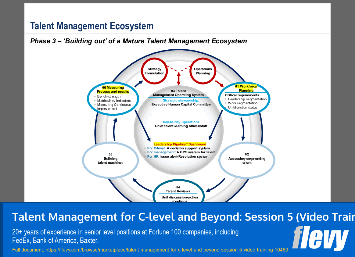 Talent Management for C-level and Beyond: Session 5 (Video Training) (45-slide PPT PowerPoint presentation slide deck (PPTX)) Preview Image