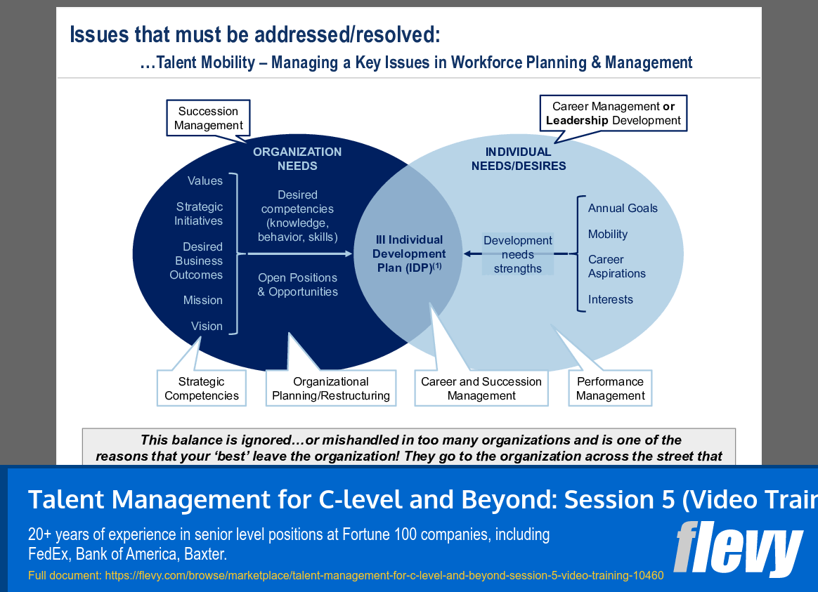 Talent Management for C-level and Beyond: Session 5 (Video Training) (45-slide PPT PowerPoint presentation slide deck (PPTX)) Preview Image