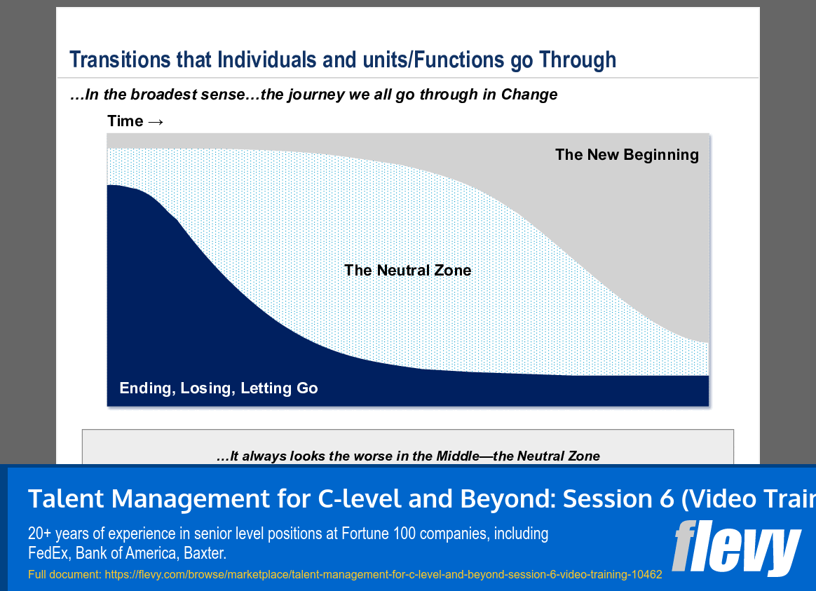 Talent Management for C-level and Beyond: Session 6 (Video Training) (63-slide PPT PowerPoint presentation slide deck (PPTX)) Preview Image