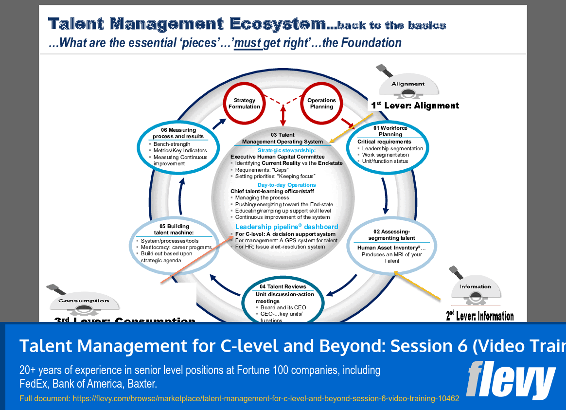 Talent Management for C-level and Beyond: Session 6 (Video Training) (63-slide PPT PowerPoint presentation slide deck (PPTX)) Preview Image