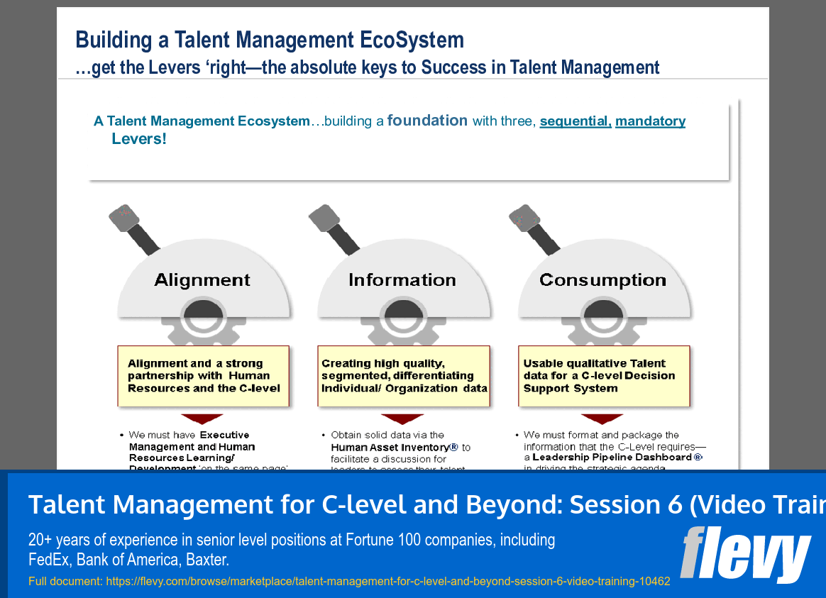 Talent Management for C-level and Beyond: Session 6 (Video Training) (63-slide PPT PowerPoint presentation slide deck (PPTX)) Preview Image