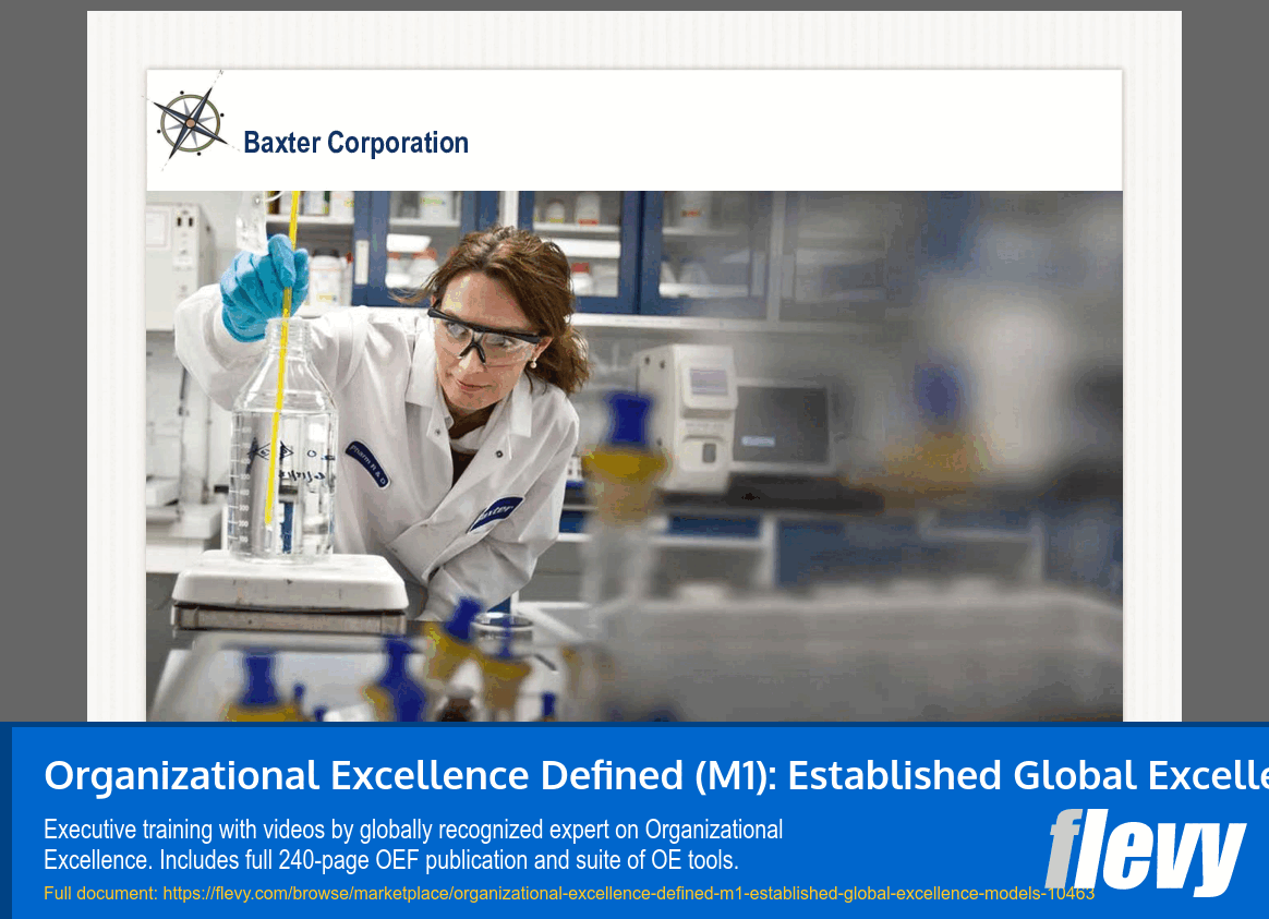 Organizational Excellence Defined (M1): Established Global Excellence Models (21-slide PPT PowerPoint presentation slide deck (PPTX)) Preview Image