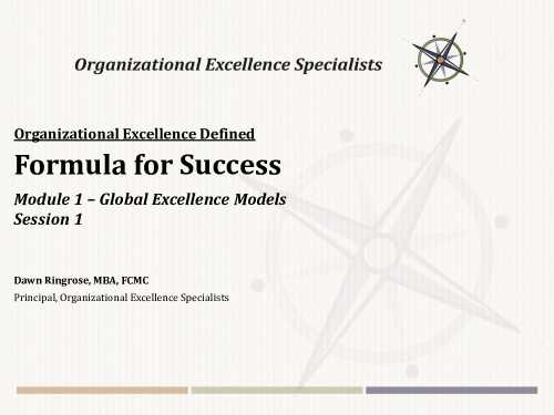 Organizational Excellence Defined: Full Course (Video Training) (Document Bundle)