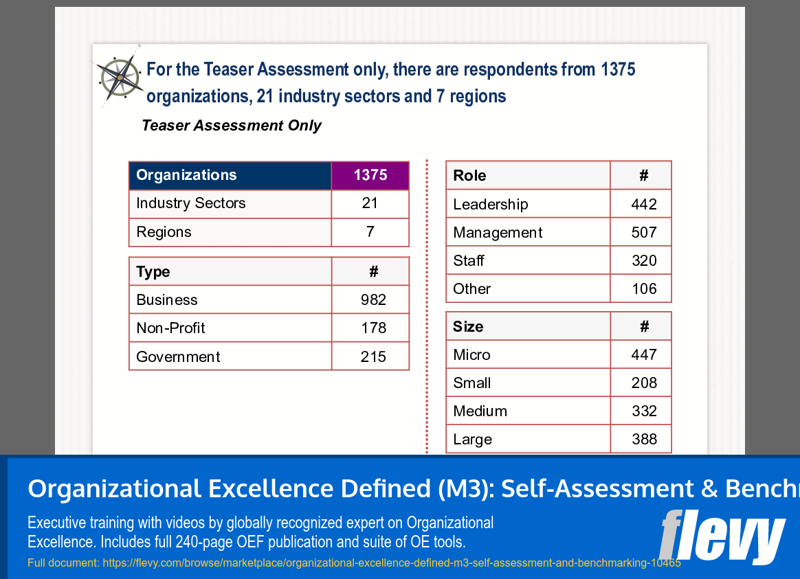 Organizational Excellence Defined (M3): Self-Assessment & Benchmarking (Video Training) (37-slide PPT PowerPoint presentation slide deck (PPTX)) Preview Image