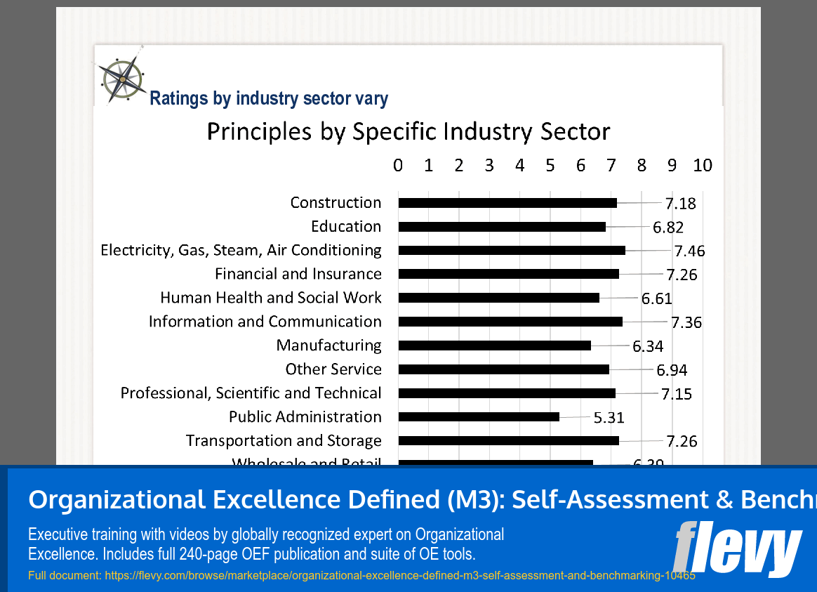 Organizational Excellence Defined (M3): Self-Assessment & Benchmarking (Video Training) (37-slide PPT PowerPoint presentation slide deck (PPTX)) Preview Image