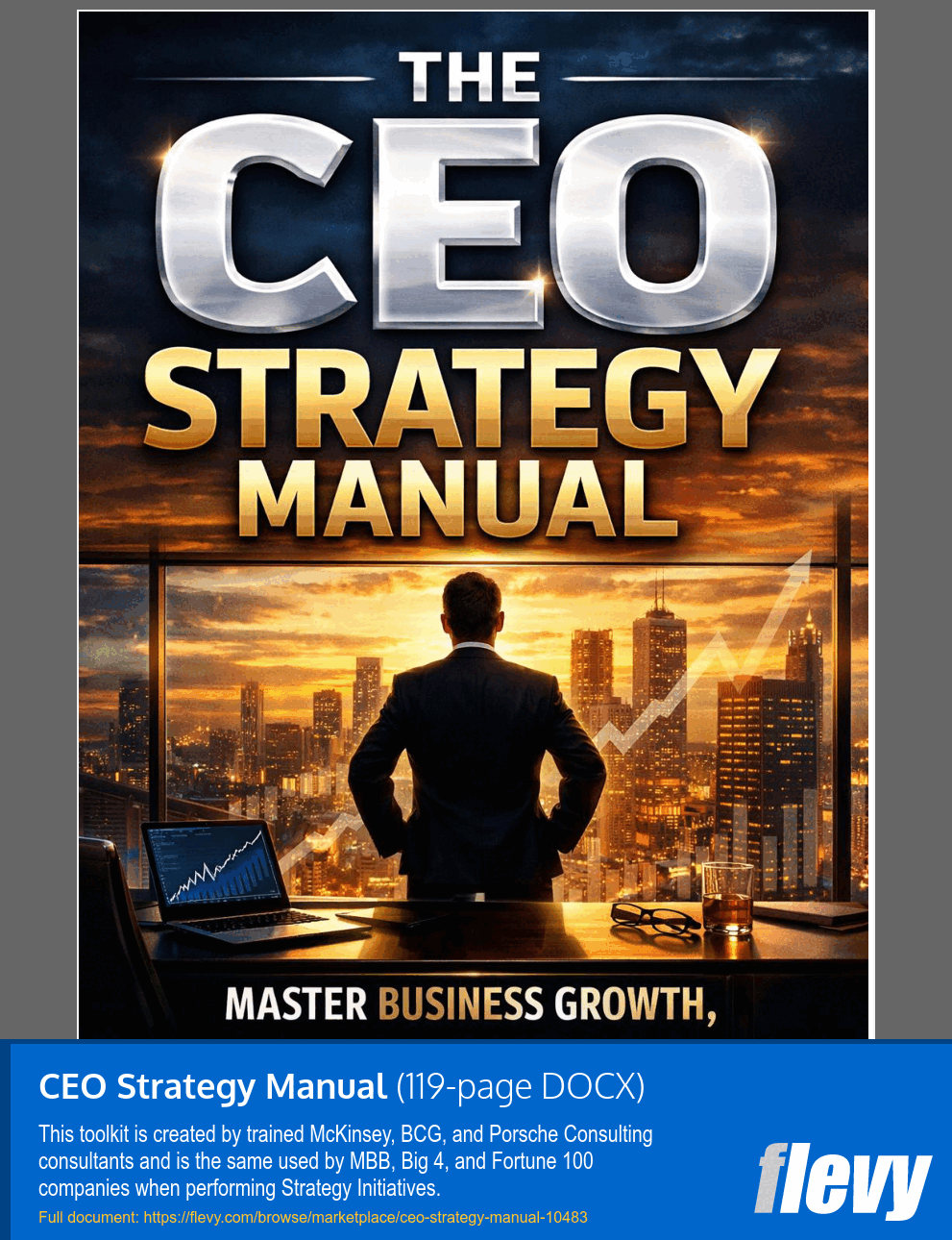 CEO Strategy Manual (119-page Word document) Preview Image