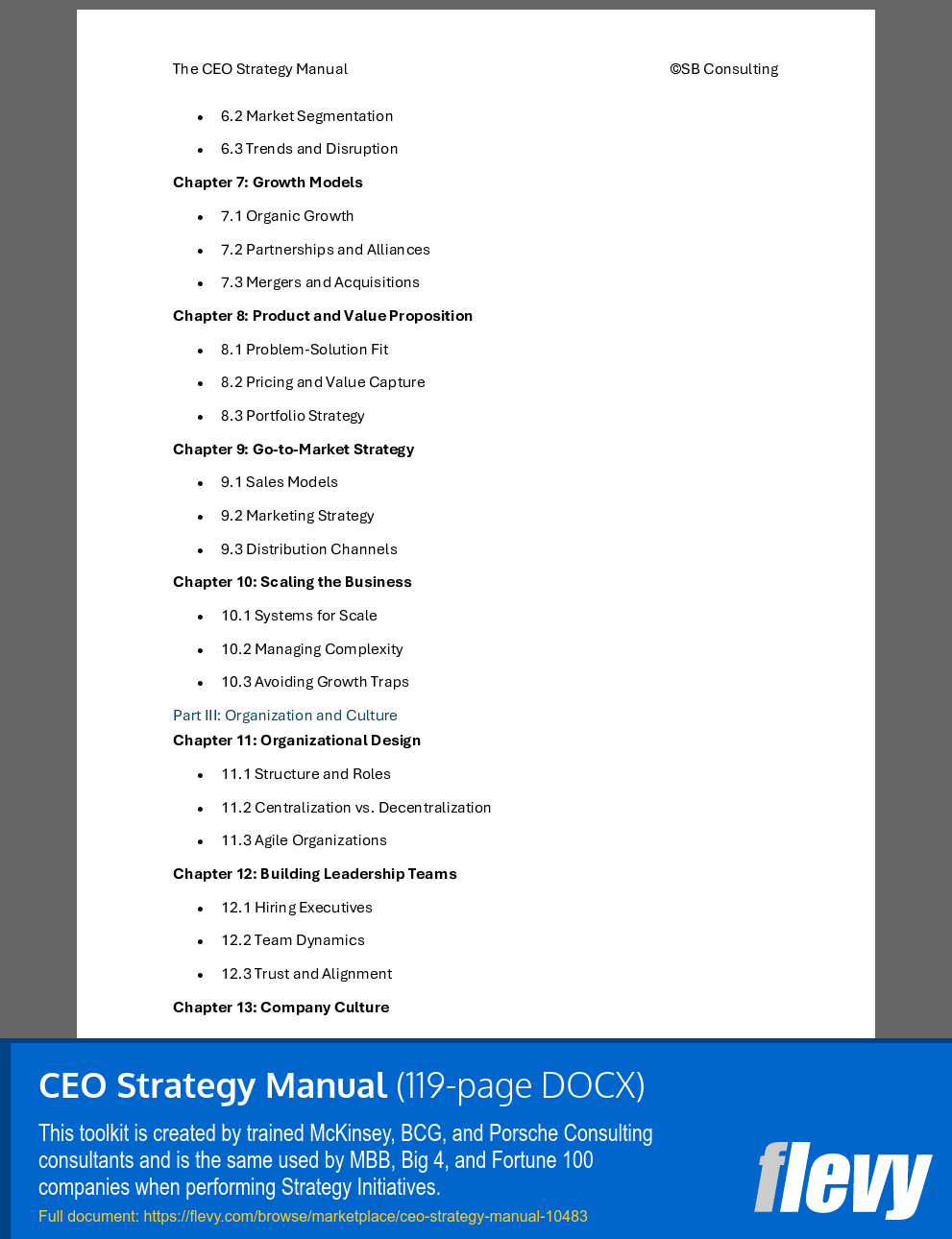 CEO Strategy Manual (119-page Word document) Preview Image