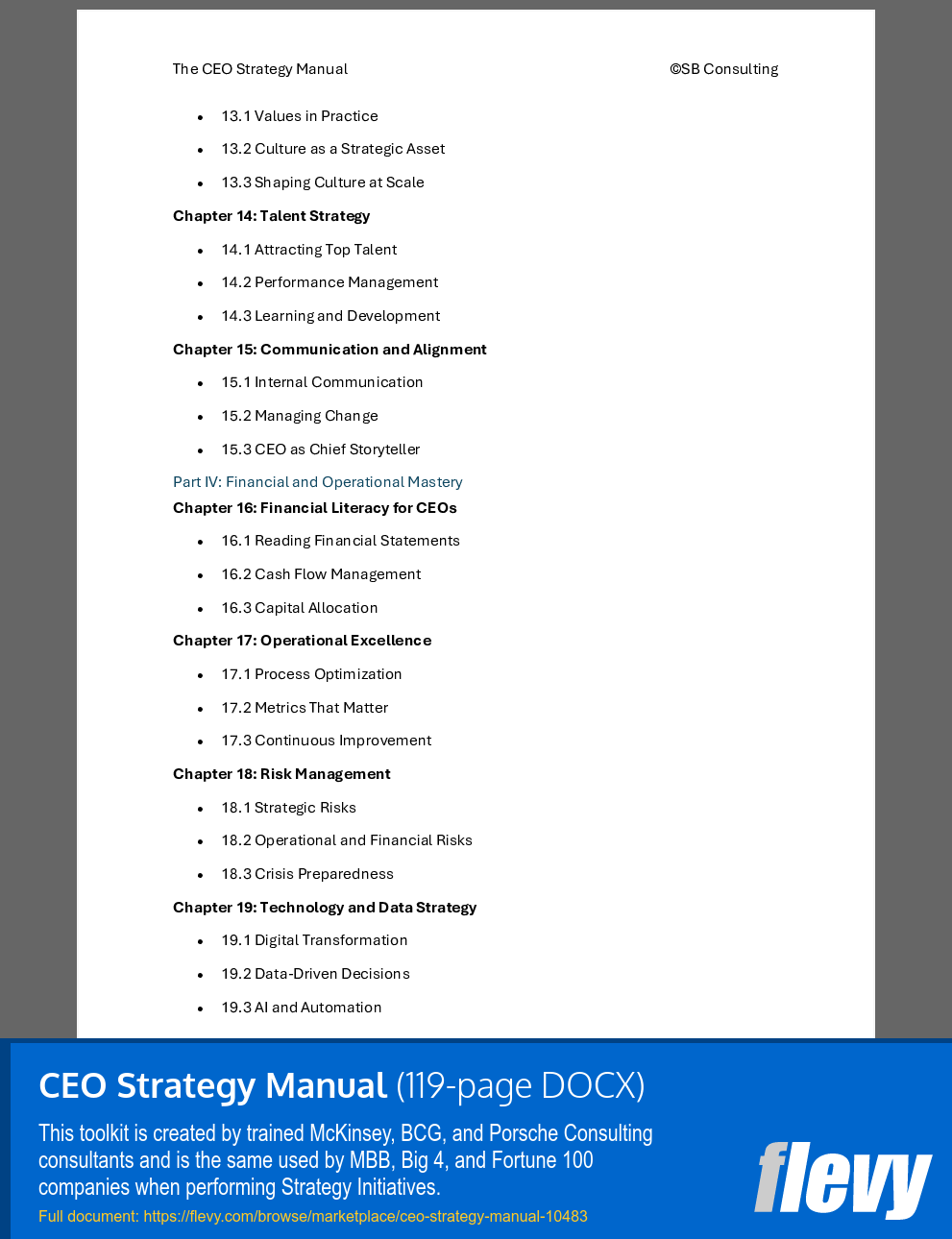 CEO Strategy Manual (119-page Word document) Preview Image