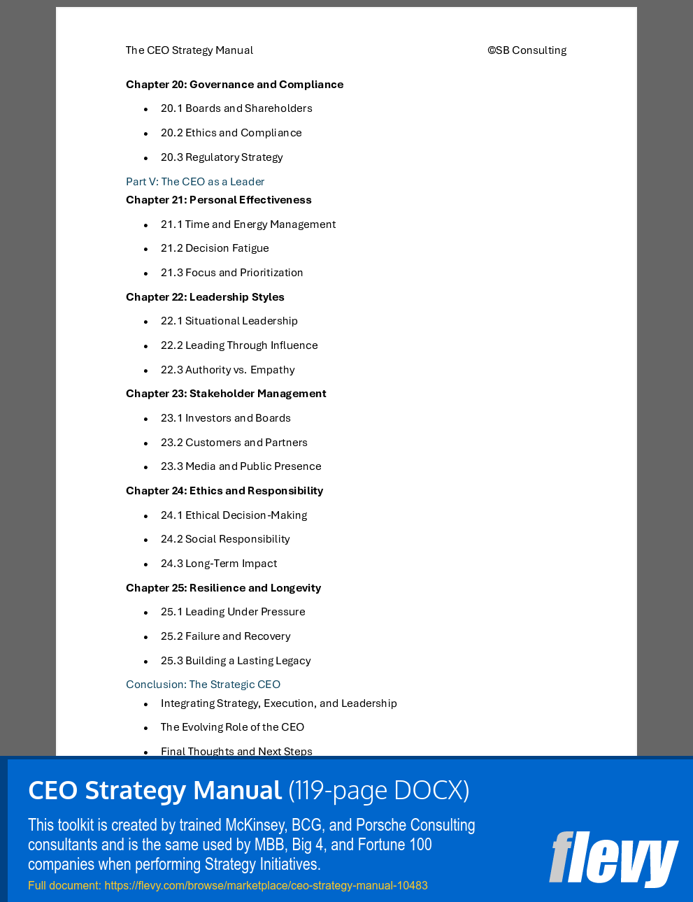 CEO Strategy Manual (119-page Word document) Preview Image