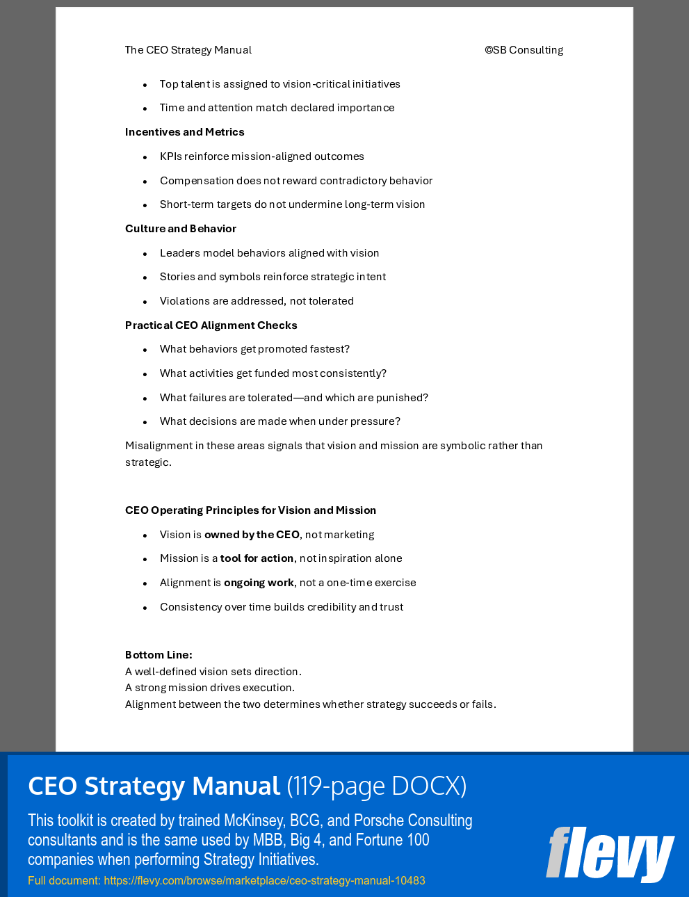 CEO Strategy Manual (119-page Word document) Preview Image