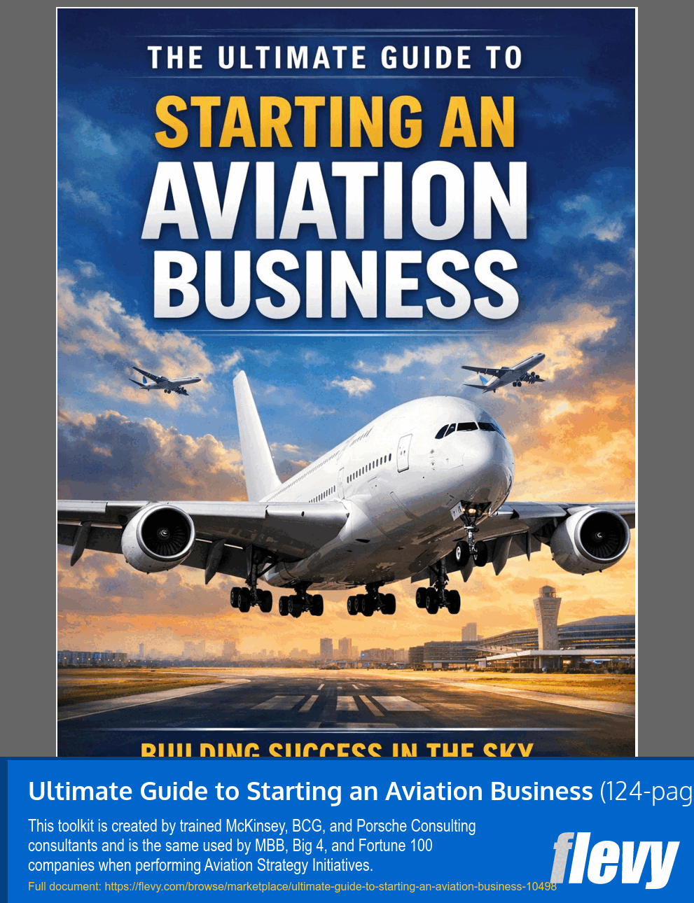 Ultimate Guide to Starting an Aviation Business (124-page Word document) Preview Image