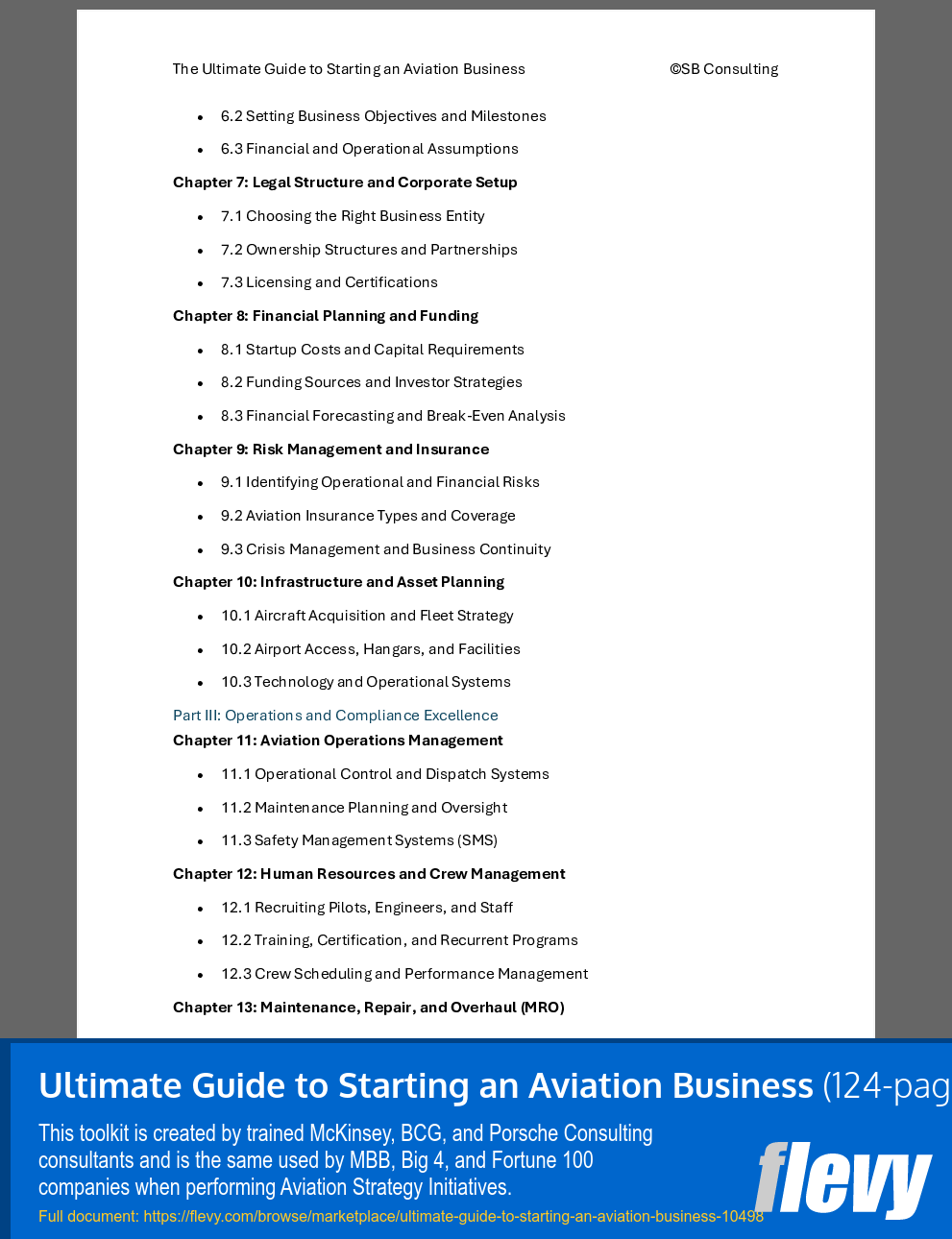 Ultimate Guide to Starting an Aviation Business (124-page Word document) Preview Image
