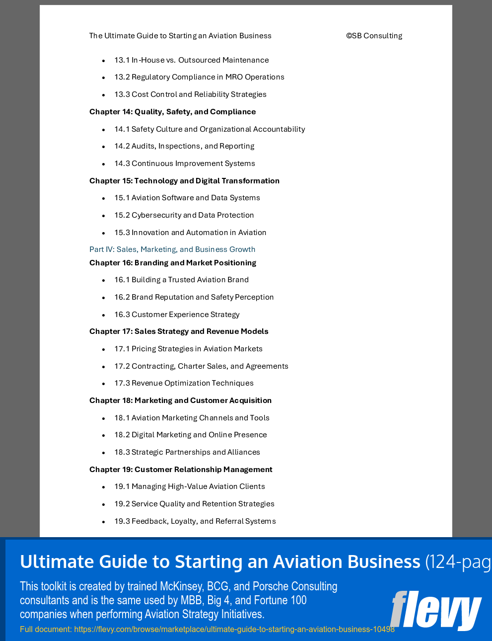 Ultimate Guide to Starting an Aviation Business (124-page Word document) Preview Image