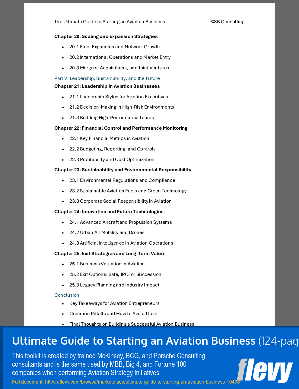 Ultimate Guide to Starting an Aviation Business (124-page Word document) Preview Image