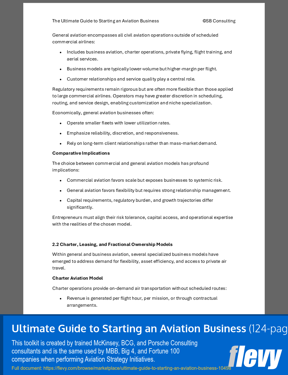 Ultimate Guide to Starting an Aviation Business (124-page Word document) Preview Image