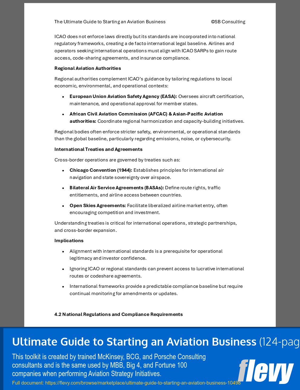Ultimate Guide to Starting an Aviation Business (124-page Word document) Preview Image