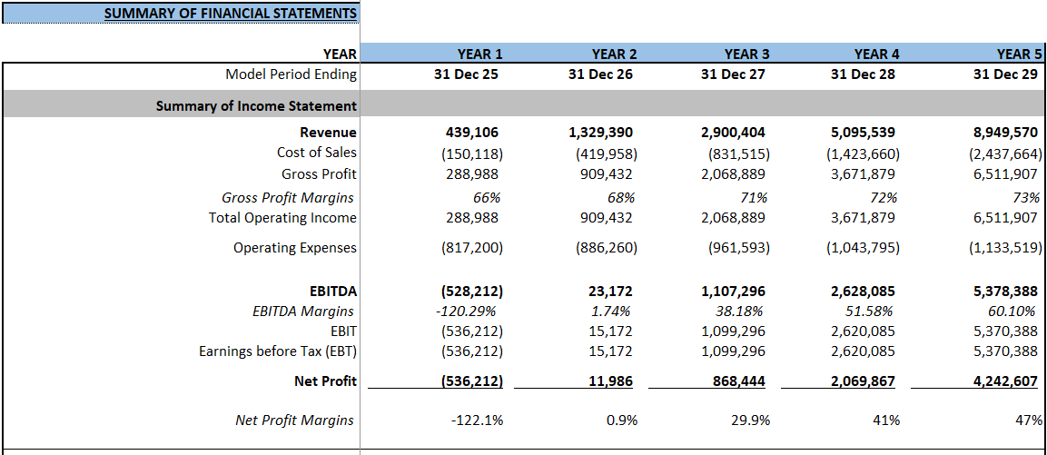 Mobile App Financial Model (Excel template (XLSX)) Preview Image