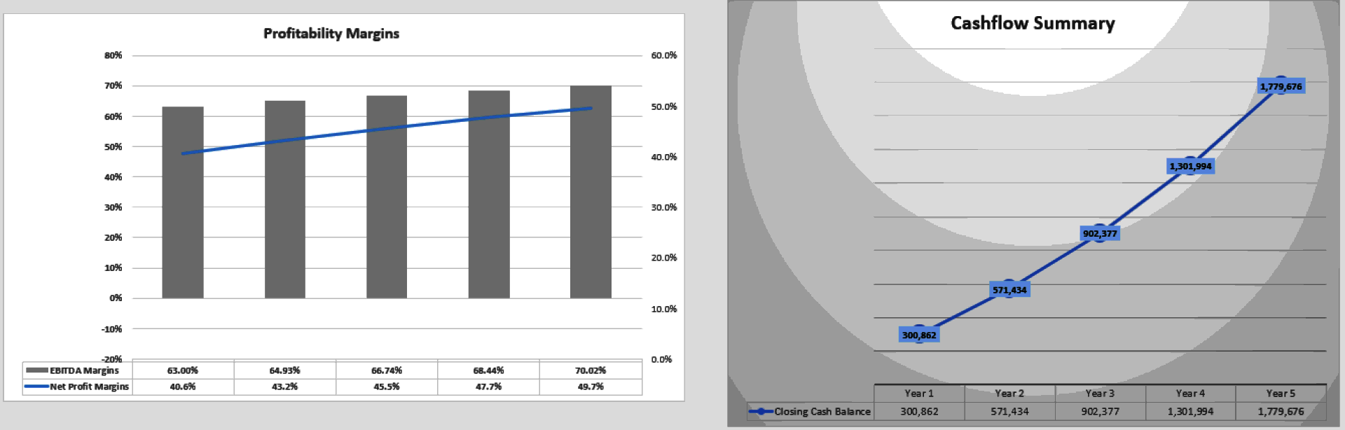 Laundromat Financial Model (Excel template (XLSX)) Preview Image
