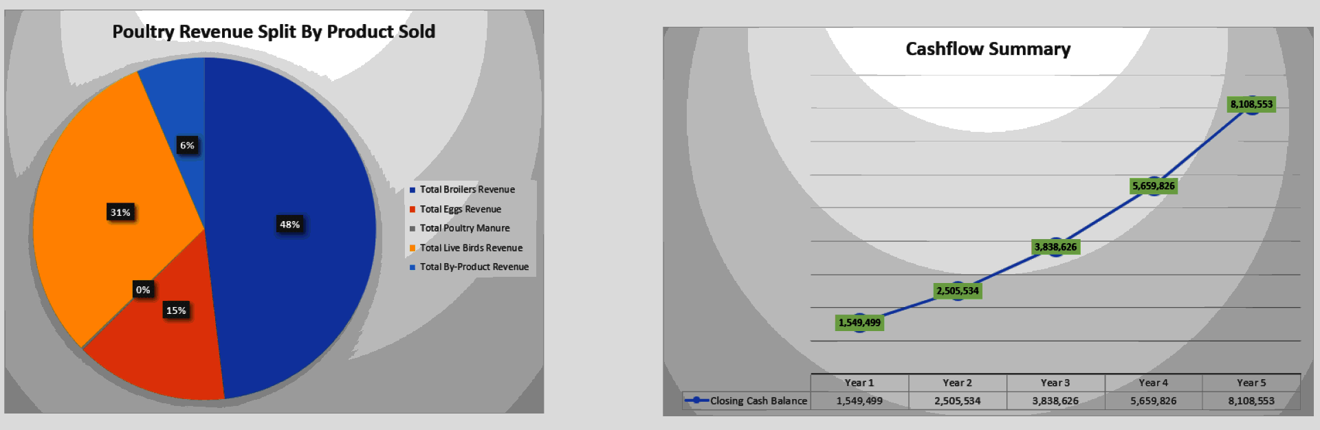 Broiler Poultry Farm Financial Model (Excel template (XLSX)) Preview Image