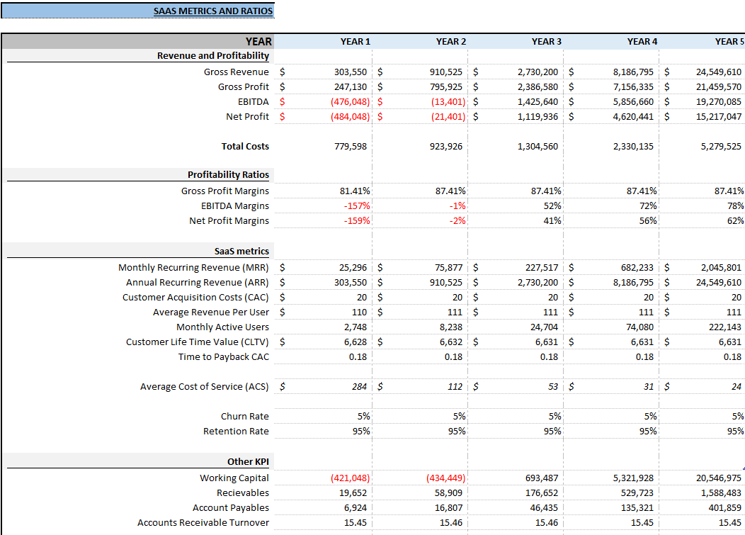 Subscription-Based B2C SaaS Financial Model (Excel template (XLSX)) Preview Image
