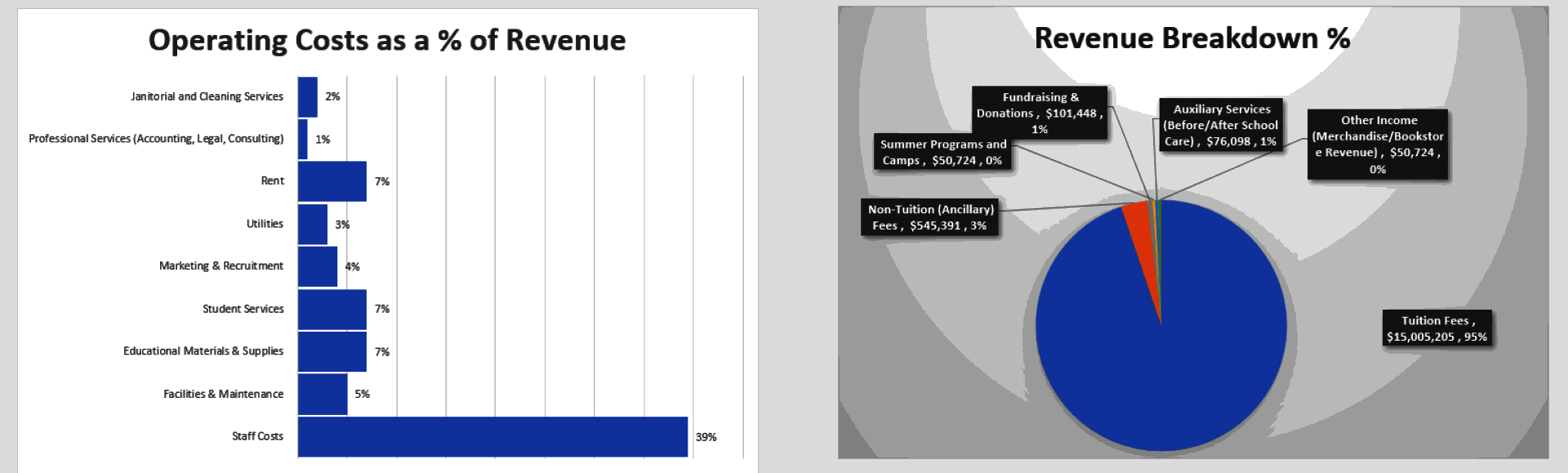Private School Financial Model (Excel template (XLSX)) Preview Image