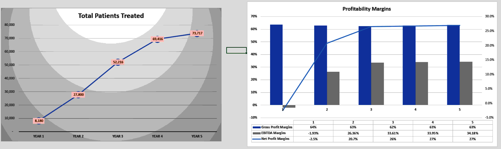 Medical Clinic Financial Model (Excel template (XLSX)) Preview Image