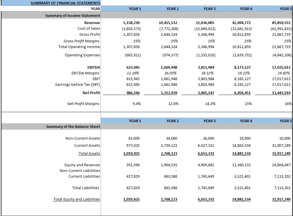 Startup Company Financial Model (Excel template (XLSX)) Preview Image